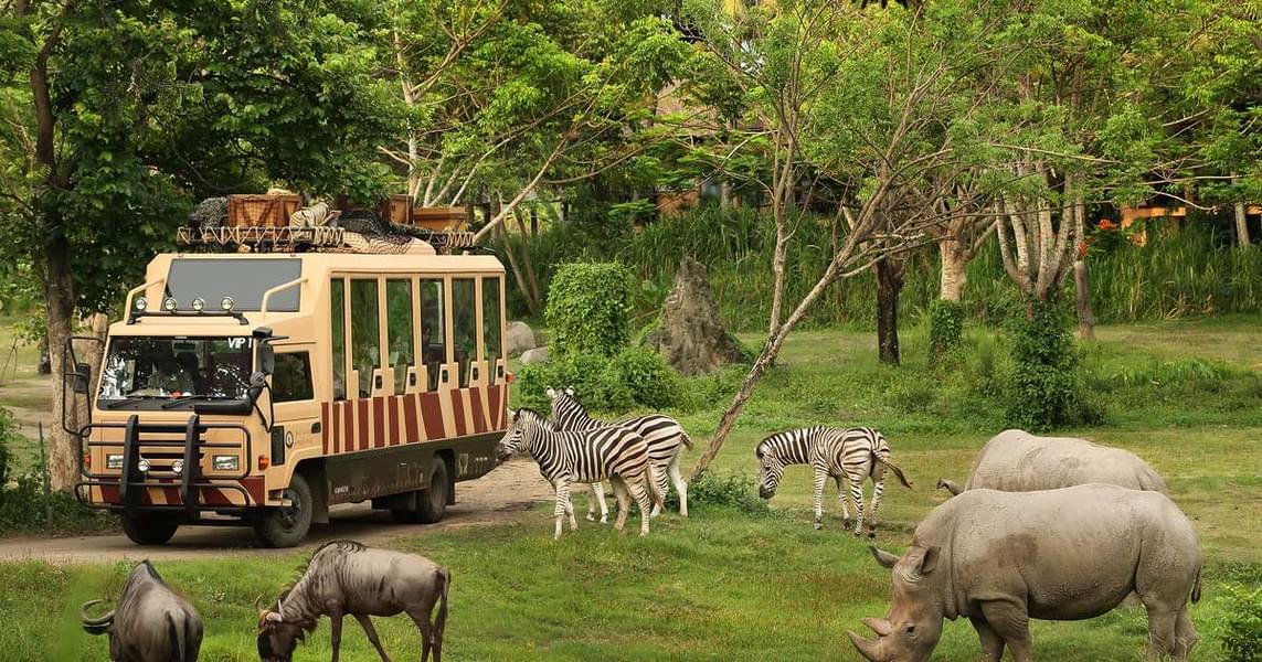 A drive-through experience aboard a powerful vehicle 