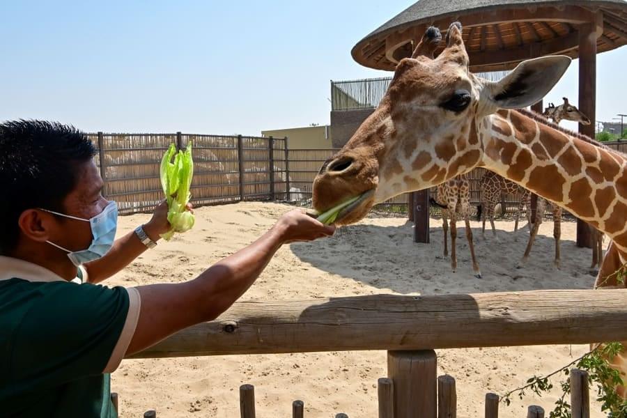 Dubai Safari Park